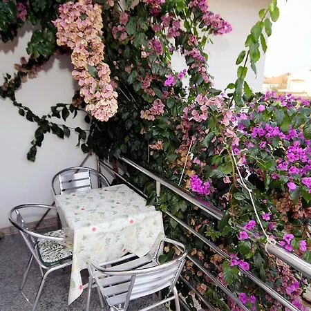 Appartement - Diklo 5880c Zadar