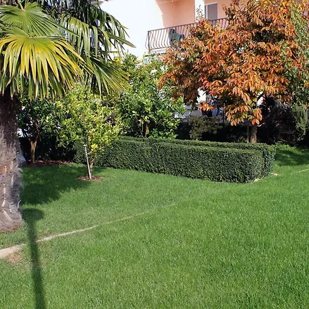 - Diklo 5880c 公寓