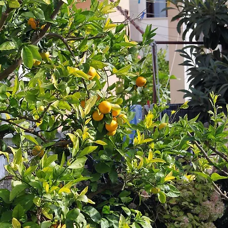 アパート - Diklo 5880c ザダル